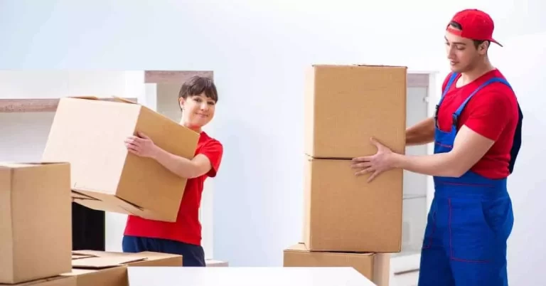 Understanding the Role of Professional Movers