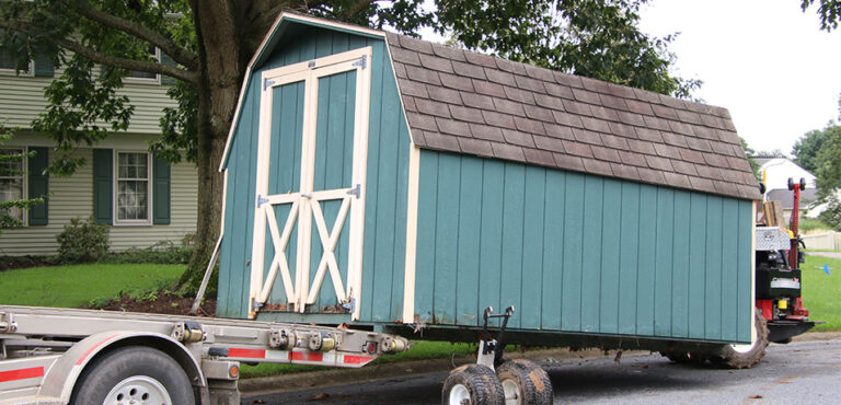 Shed Removal