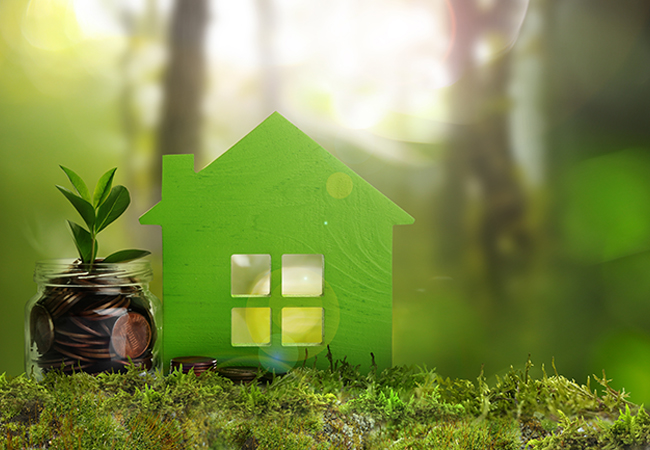 Green Living: Simple Steps to Reduce Your Home's Carbon Footprint