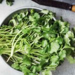 how to grow cilantro from store bought