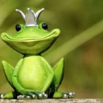 What Does It Mean When a Frog Visits You