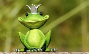 What Does It Mean When a Frog Visits You