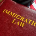 Immigration Lawyer