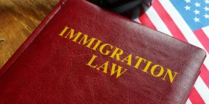 Immigration Lawyer