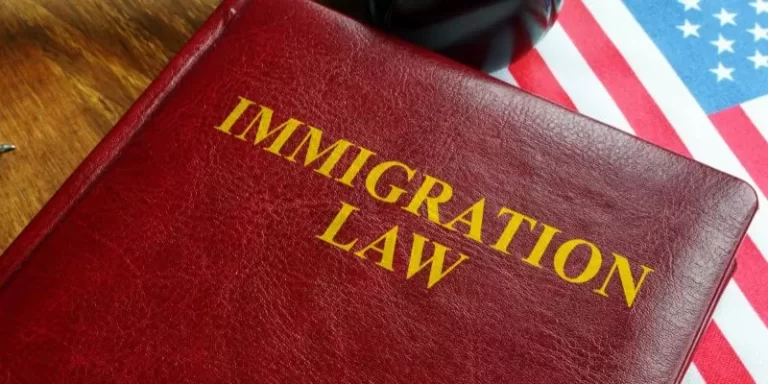 Immigration Lawyer